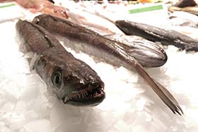 日產(chǎn)1.5噸片冰機(jī)（下出冰），人人樂超市連鎖超市保鮮